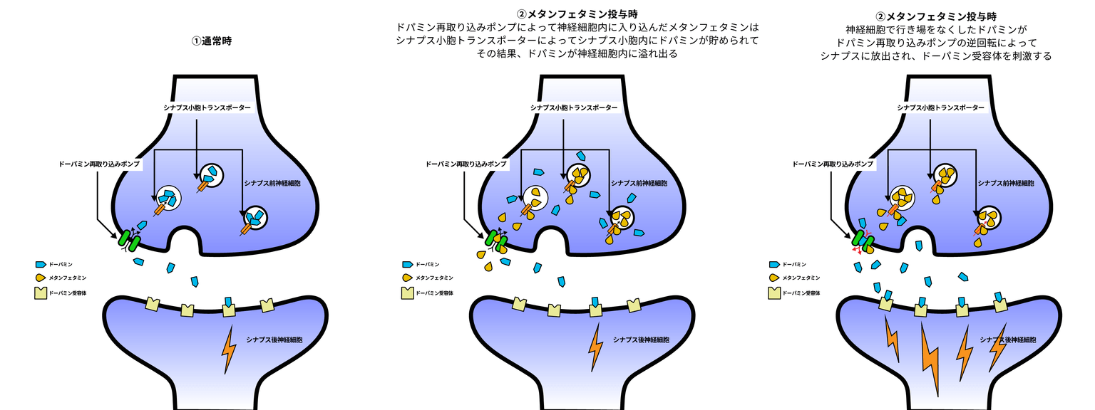 メタンフェタミンの薬理学的機序